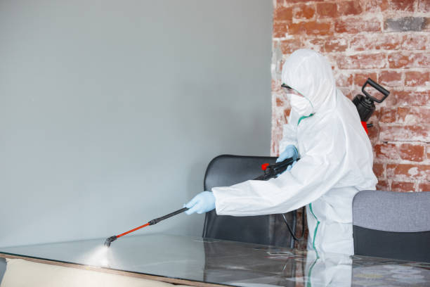 Terryville, NY Mold Inspection Company